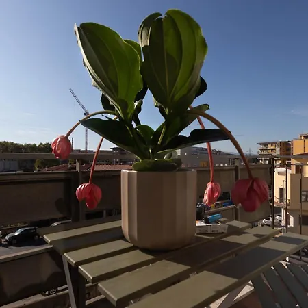 Appartement Oasis *